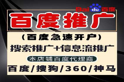某品牌sem竞价托管代运营的精彩瞬间